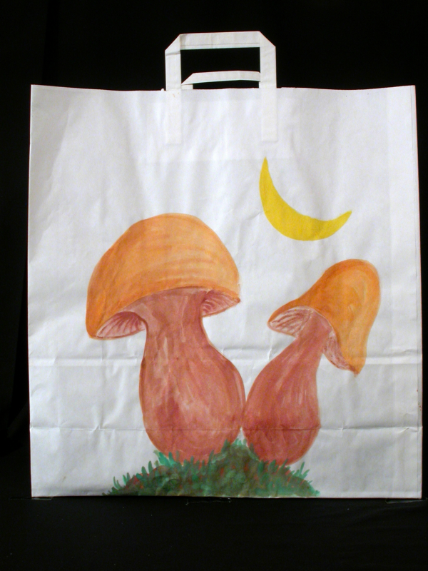 Jardin de Fivaz Art Bag