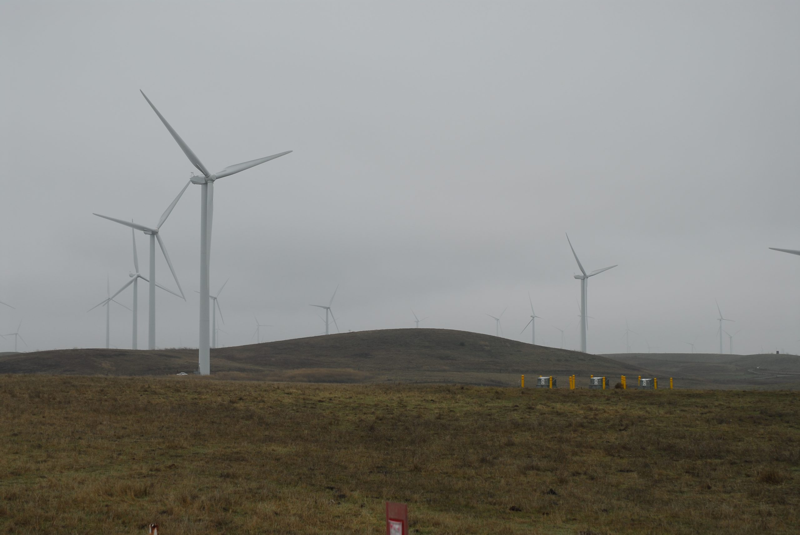 Wind Farm near Rio Vista CA
